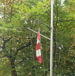 Nur die Möwe…